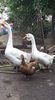 received_590736041861543