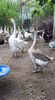 received_881772008967984