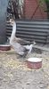 received_624352918154087