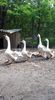 received_3390223434345379