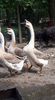 received_2959845557465748