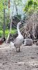 received_646064279306033