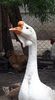 received_325230491783631