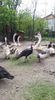 received_2566036477002036
