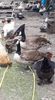 received_542432943341673