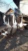 received_818345825311973