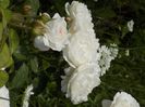 IMG-20200608-WA0098