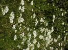 IMG-20200608-WA0102