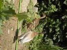IMG-20200608-WA0107