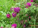 Sissinghurst Castle