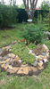 sempervivum mix