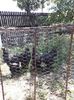 IMG-20200628-WA0004