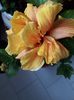received_1166793983686647