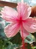 received_900838373715899