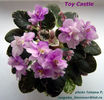 Toy Castle