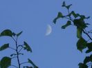 Luna in crestere in Fecioara