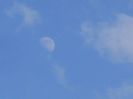 Luna in crestere in Scorpion