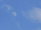 Luna in crestere in Scorpion