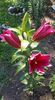 received_1807946892662430