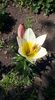 received_4042513149154915