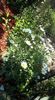 received_304152630632665
