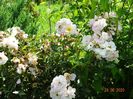 Ghislaine de Feligonde