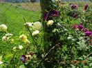 The Pilgrim, Erinnerung an Brod