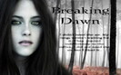 Breaking-Dawn-Bella-twilight-series-3254290-1024-768