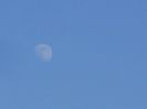 Luna in crestere in Scorpion