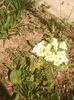 received_558018964818637
