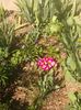 received_915311978928305