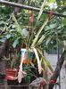 IMG-20200611-WA0006
