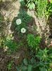IMG-20200604-WA0015