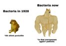 739EAE3A-E7E5-4DB3-AA48-1AC2B490787B