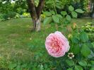 Abraham Darby