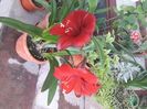 20200724_072427[1]