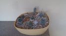 Grup de 7 Turbinicarpus