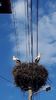 IMG-20200726-WA0071