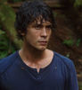 Bob Morley