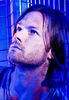 jared (4)