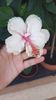 IMG-20200804-WA0002