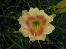 spits beaute-10epuizat