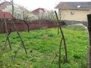 IMG (352)