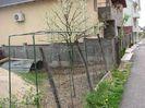 IMG (354)