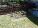 IMG (474)