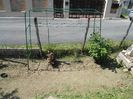 IMG (476)