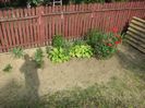 IMG (525)