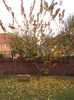 IMG (529) 16.11.2014
