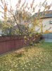 IMG (533)