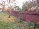 IMG (535)